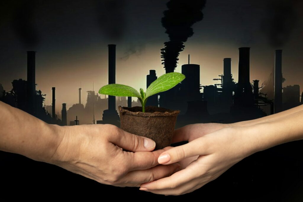 Hands hold peat pot with green sprout of plant against the backdrop of smoking chimneys